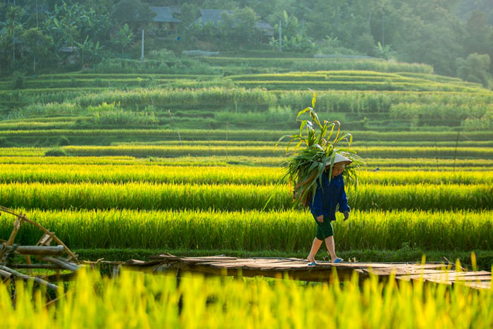 Kho Muong Village