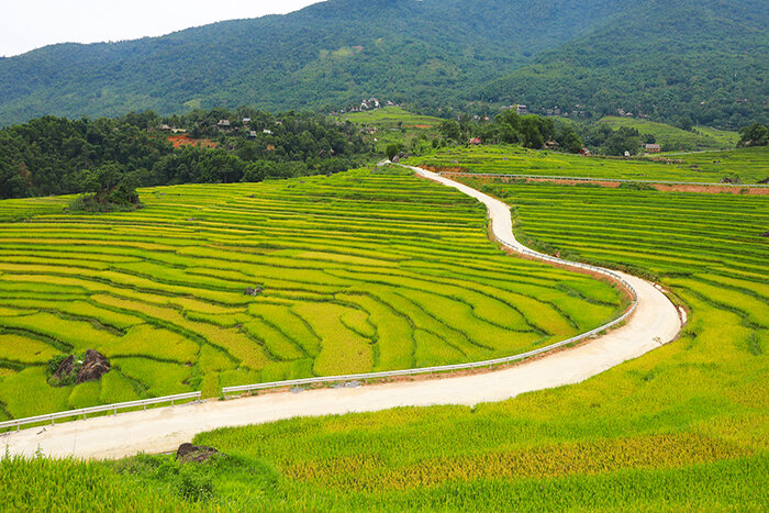 Best time to visit Kho Muong Village