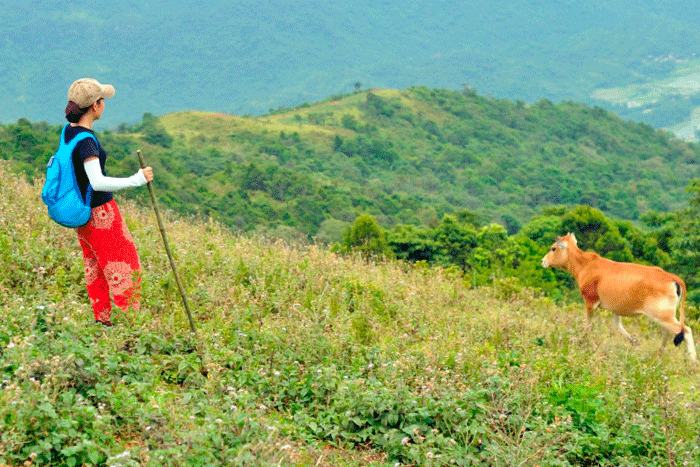 Trekking to Pu Luong Peak