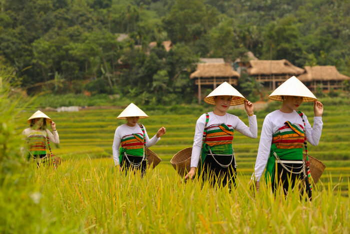 Thai people in Pu Luong