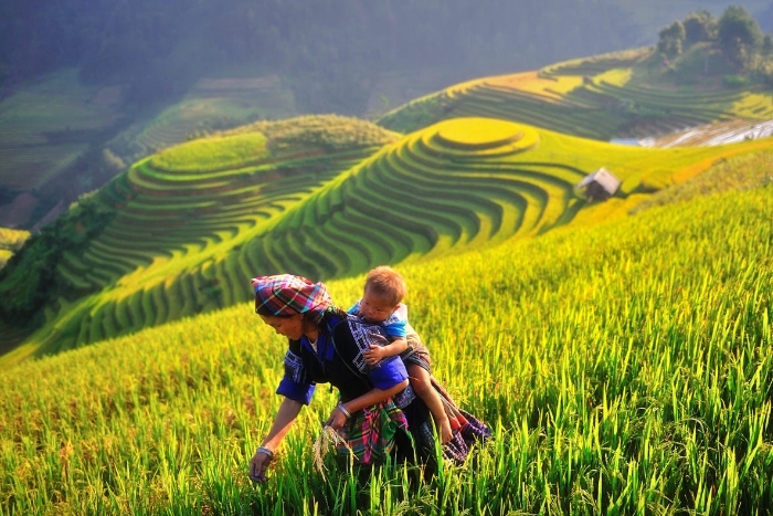 Sapa in October in Vietnam 