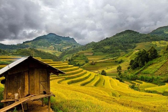 Muong Lo Valley in Yen Bai