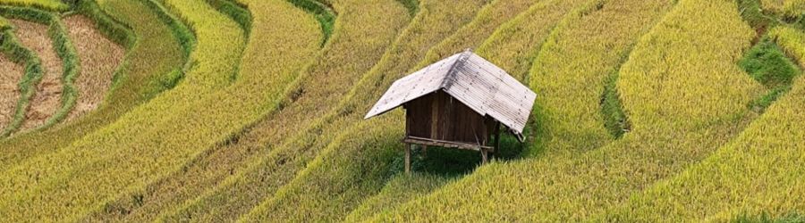 Stay in a homestay in Mu Cang Chai, why not?