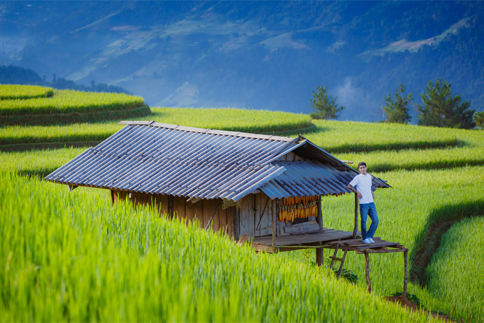 Mong Ngua Hill, Yen Bai Vietnam