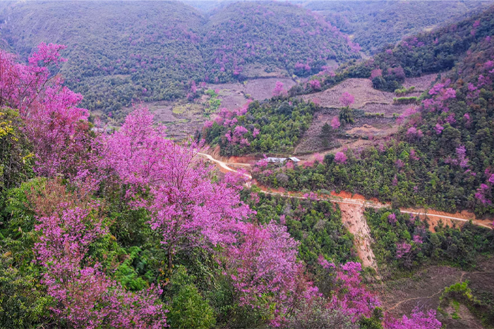 How to get to Mu Cang Chai Vietnam?