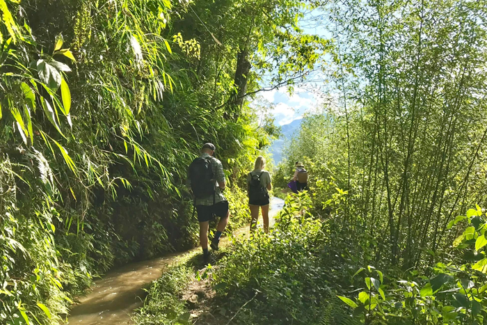 Trekking experience in Mu Cang Chai