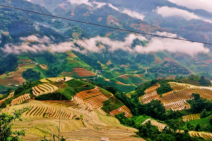  The pouring water season in Mu Cang Chai