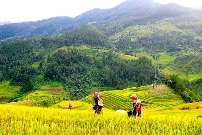 Visit Tu Le Town in Mu Cang Chai