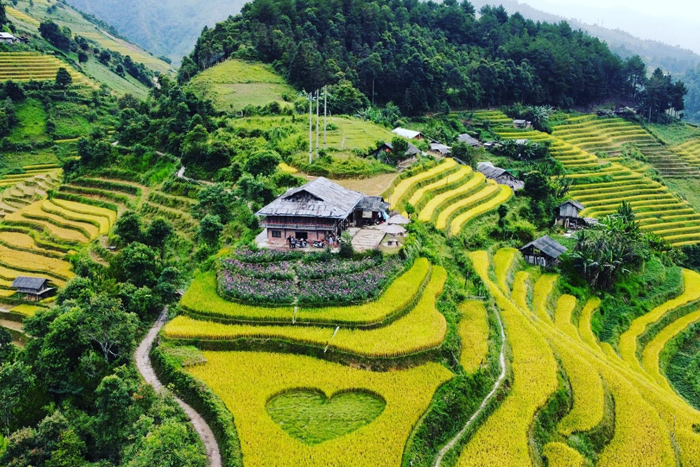 Mu Cang Chai Big View homestay