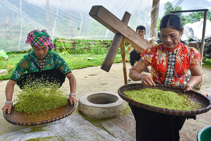 Cốm Tú Lệ