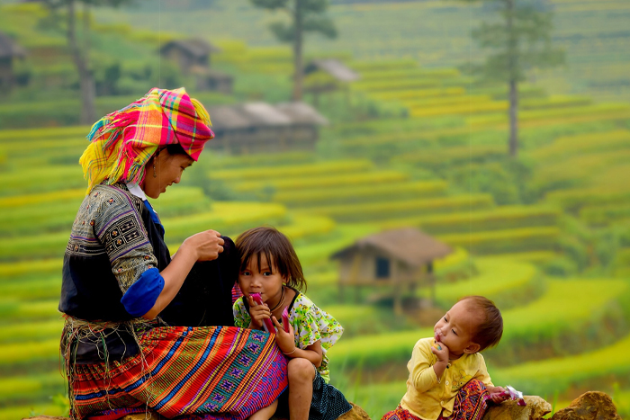 Terraced rice fields of Mu Cang Chai, masterpiece of the Hmong