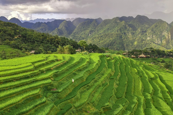 What to do in Vietnam in 3 weeks? Pu Luong for nature lovers