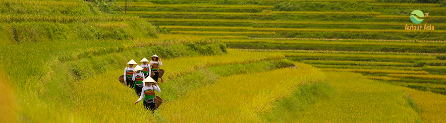 Pu Luong (Thanh Hoa)