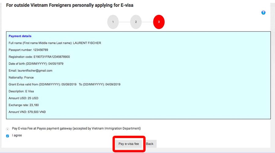 Step 8 to apply for an e-visa