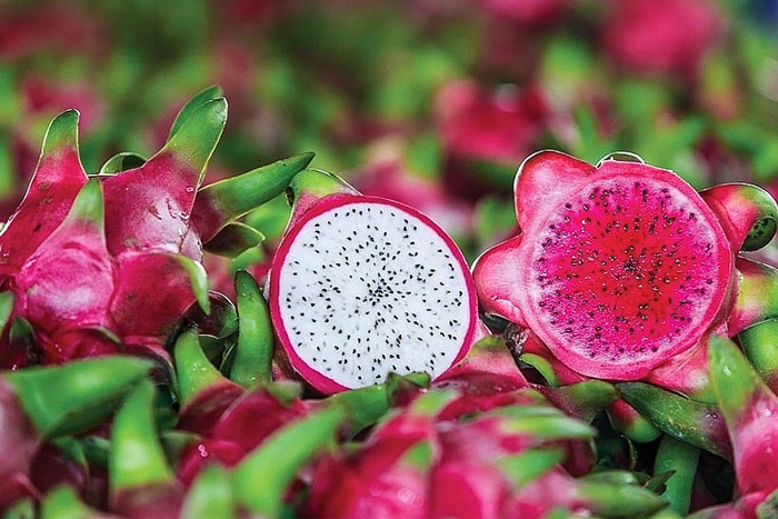 Dragon fruit (thanh long)