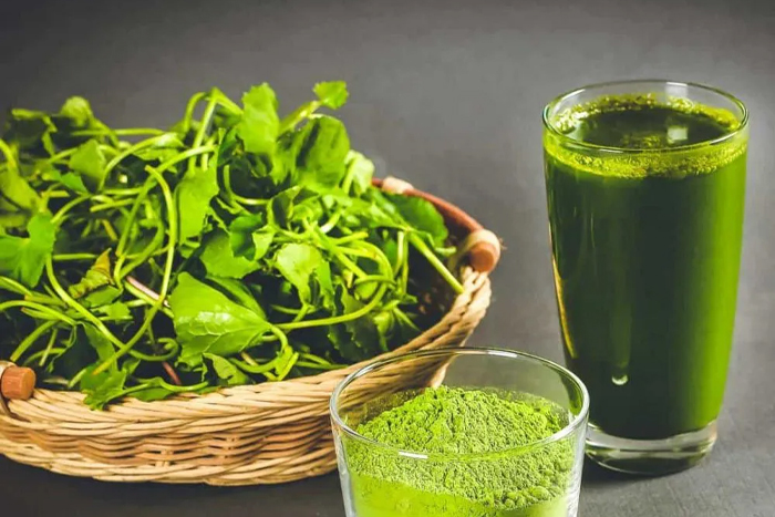 Benefits of pennywort juice